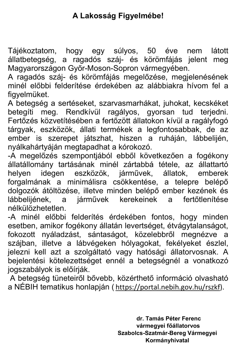 felhivas szaj korom 1